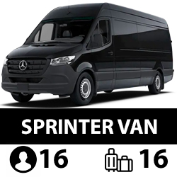 mercedes benz sprinter punta cana transportation transekur